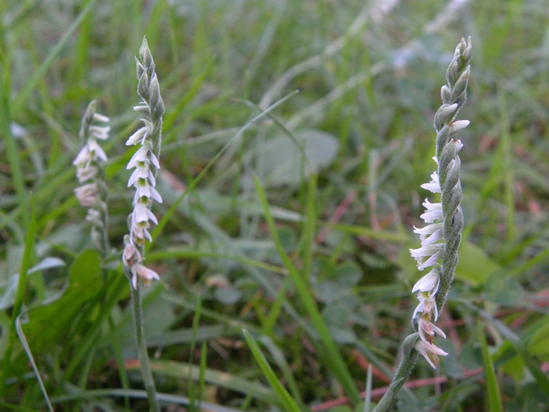 DSCN8840.JPG